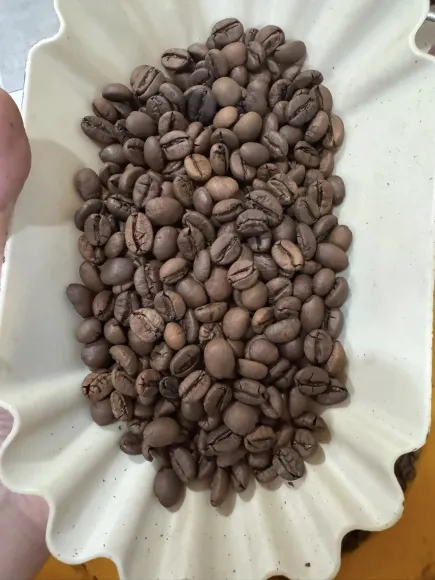 Visual Changes in Roasting Offer Important Clues When Used With Other Inputs Too!
