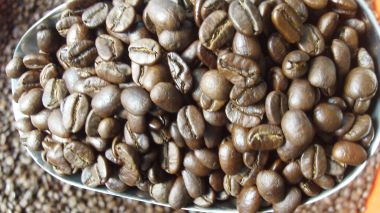 CÀ PHÊ PHA MÁY RANG VỪA (Meedium Roastering)