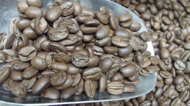 HẠT ARABICA RANG VỪA