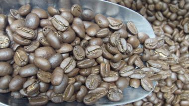 HẠT ARABICA RANG VỪA