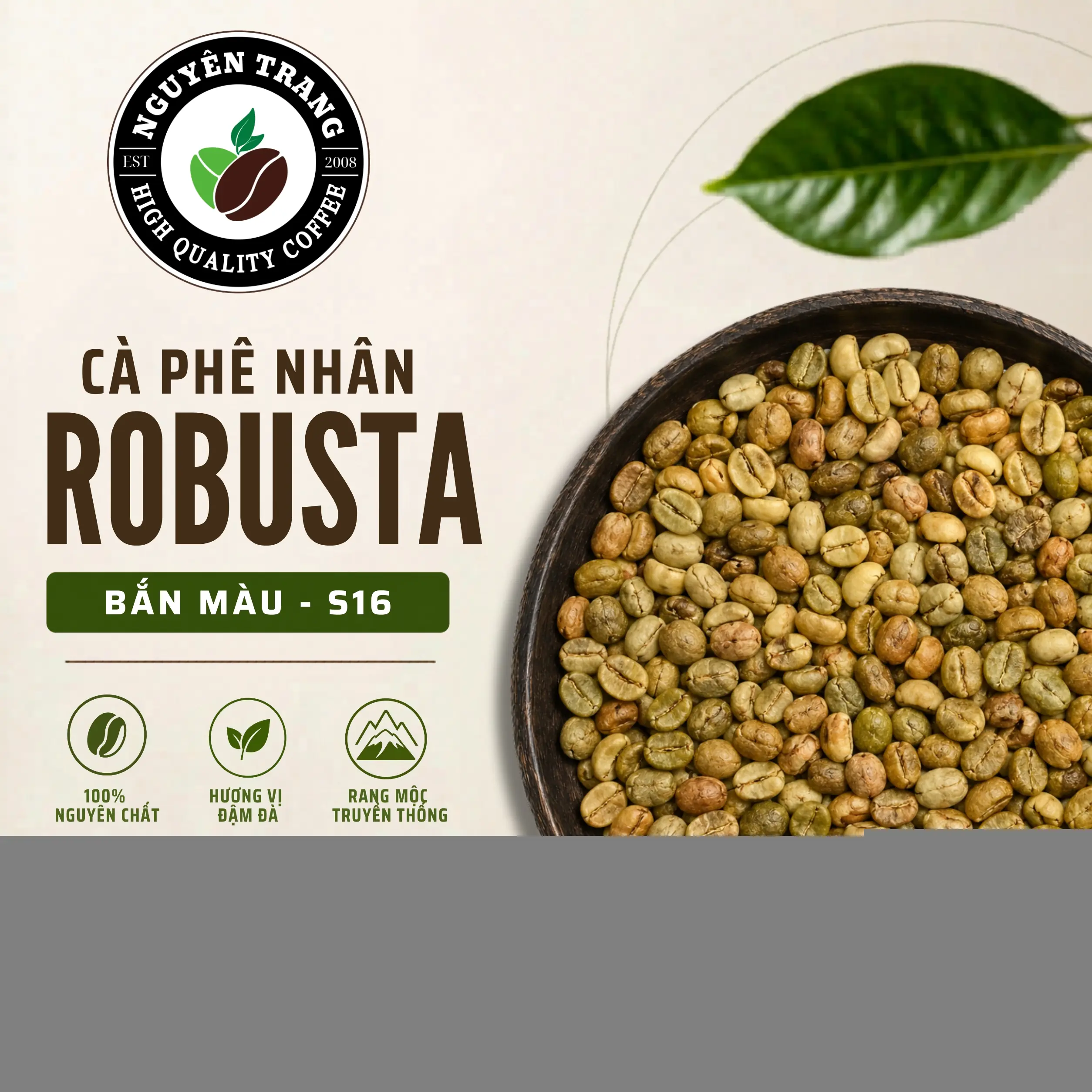 Cà phê nhân Robusta Bắn màu - S16