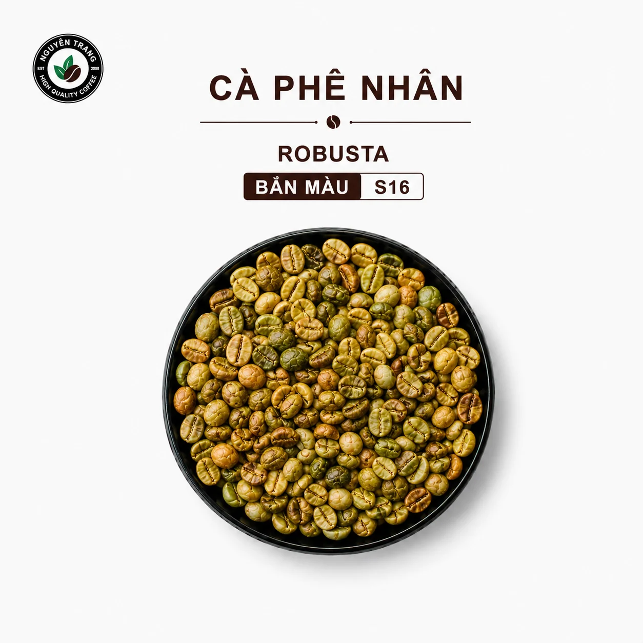 Cà phê nhân Robusta Bắn màu, S16